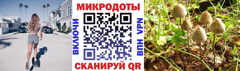 Купить где Менделеевск Галлюциногенные грибы мицелий